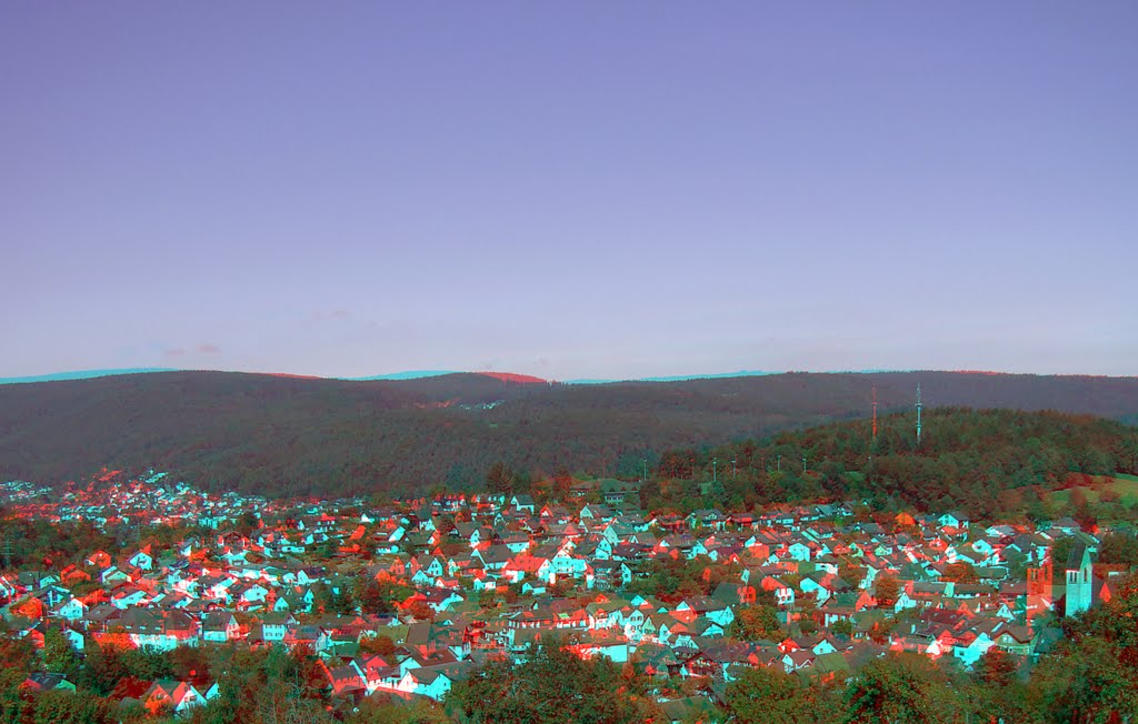 Mückenloch II 3-D Anaglyphe für Rot/Cyan Brille by AnaglyphArt