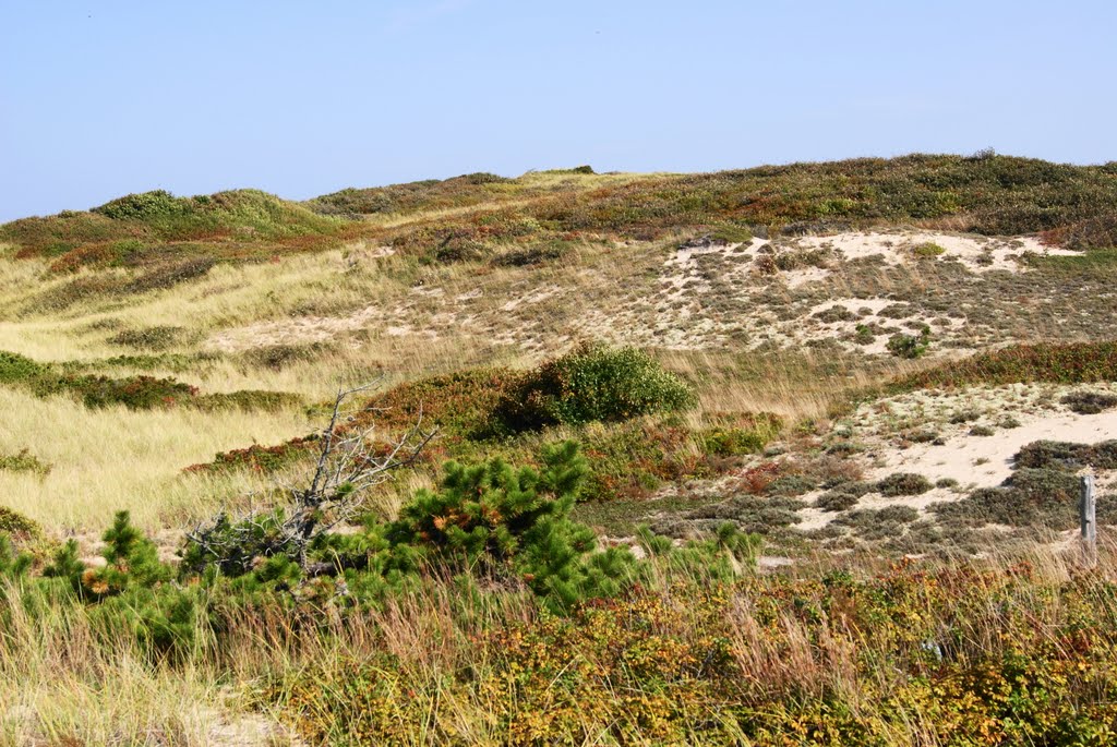 Dunes. The end of Coast Guard Rd. by Uriah Prichard