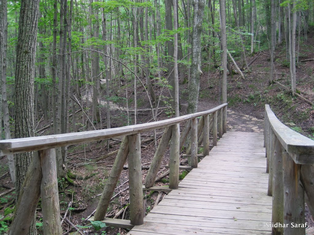 Blue Mountains, Ontario (Canada) - July 2010 by Sridhar Saraf