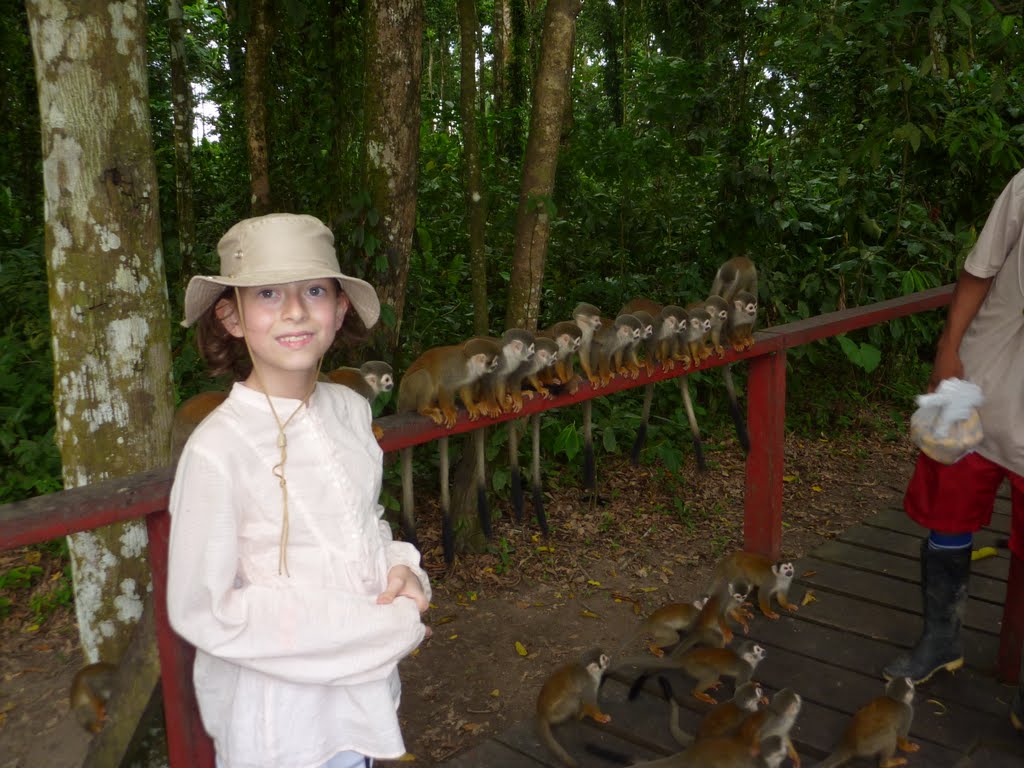 Monos Fraile, Amazonas, Colombia by Luis G. Restrepo