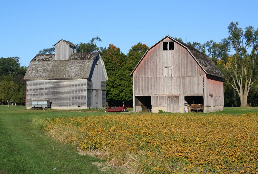 Bean Field and Barns in Somonauk by Jesse *