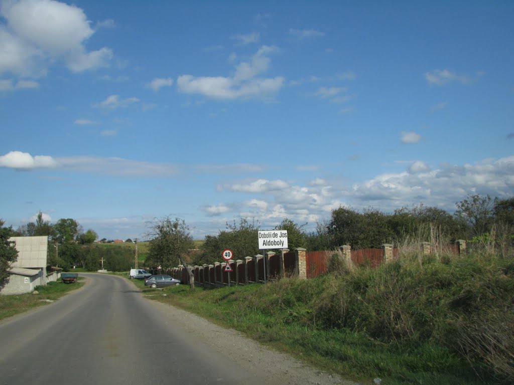 Dobolii de Jos Romania Aldoboly by Günter König