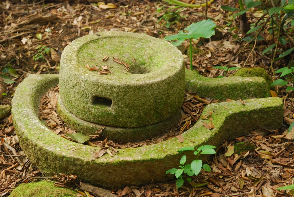 Old tool, Wang Shan Keuk Shueng Tsuen, N.T., HK by vjaipui