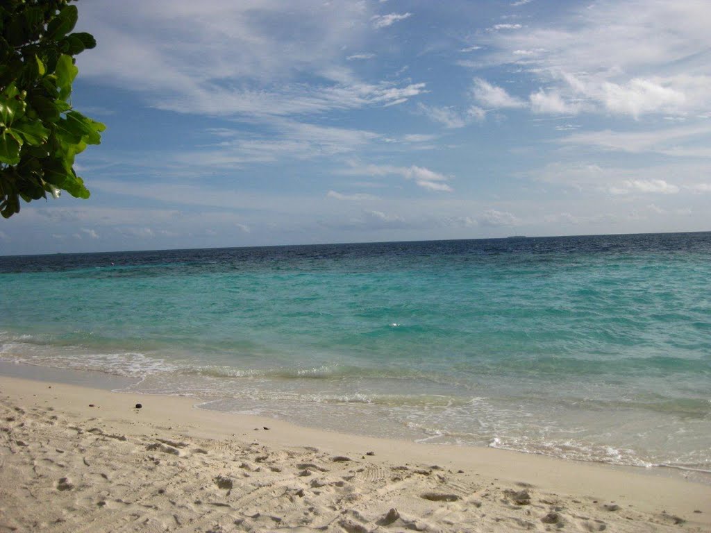 The Beach by Sonal Perera