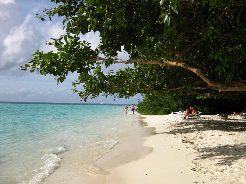 The Beach by Sonal Perera