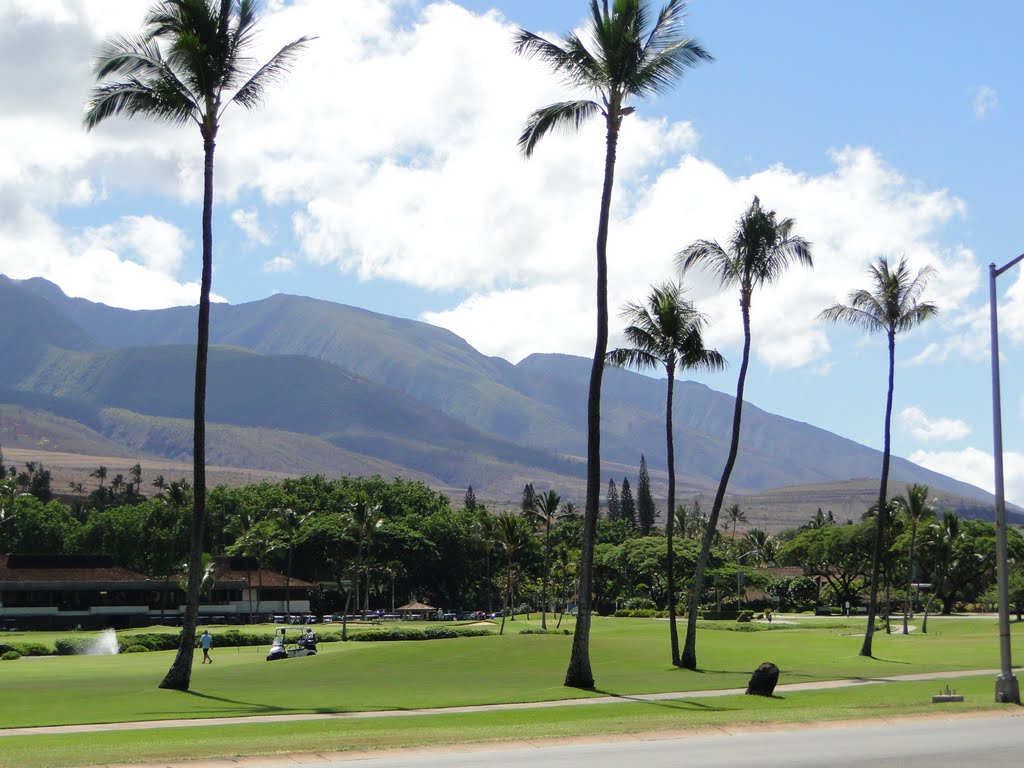 Kaanapali, Hawaï, Verenigde Staten by Cappelle