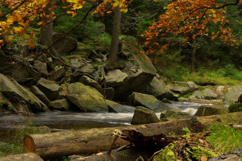 Schwarzwassertal im Herbst by wildsberg