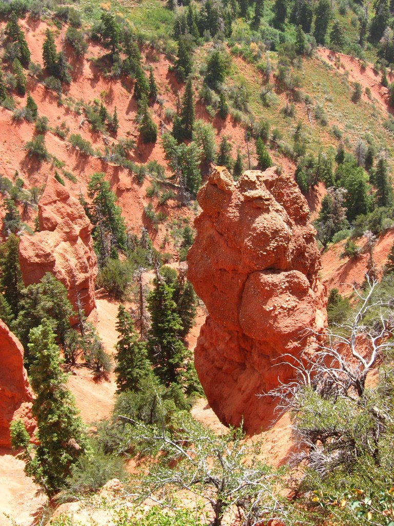 Devil's Kitchen pillar by David Bakken