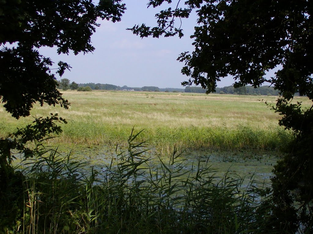 Doorkijk op dode Vechtarm en landerijen bij Vilsteren by BaliBennie Kuiper