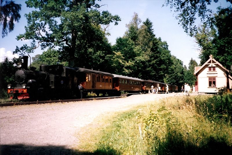 Museijärnvägen i Gräfsnäs. Railway museum, Gräfsnäs (1999) by Biketommy