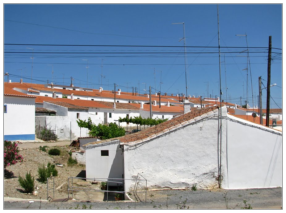 Rua Catarina Eufémia by André Barragon