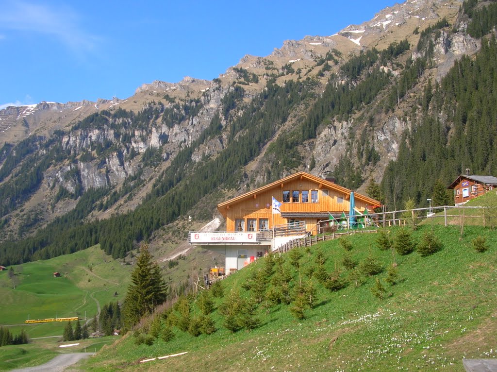 Allmend Stop Above Wengen With Mt. Maennlichen by Angelabinu