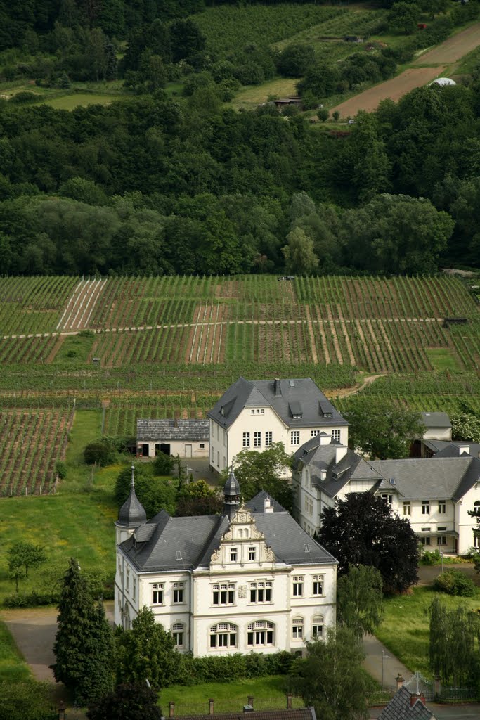 Ahrweiler, Bad Neuenahr-Ahrweiler, Rheinland-Pfalz, Deutschland by Hans Sterkendries