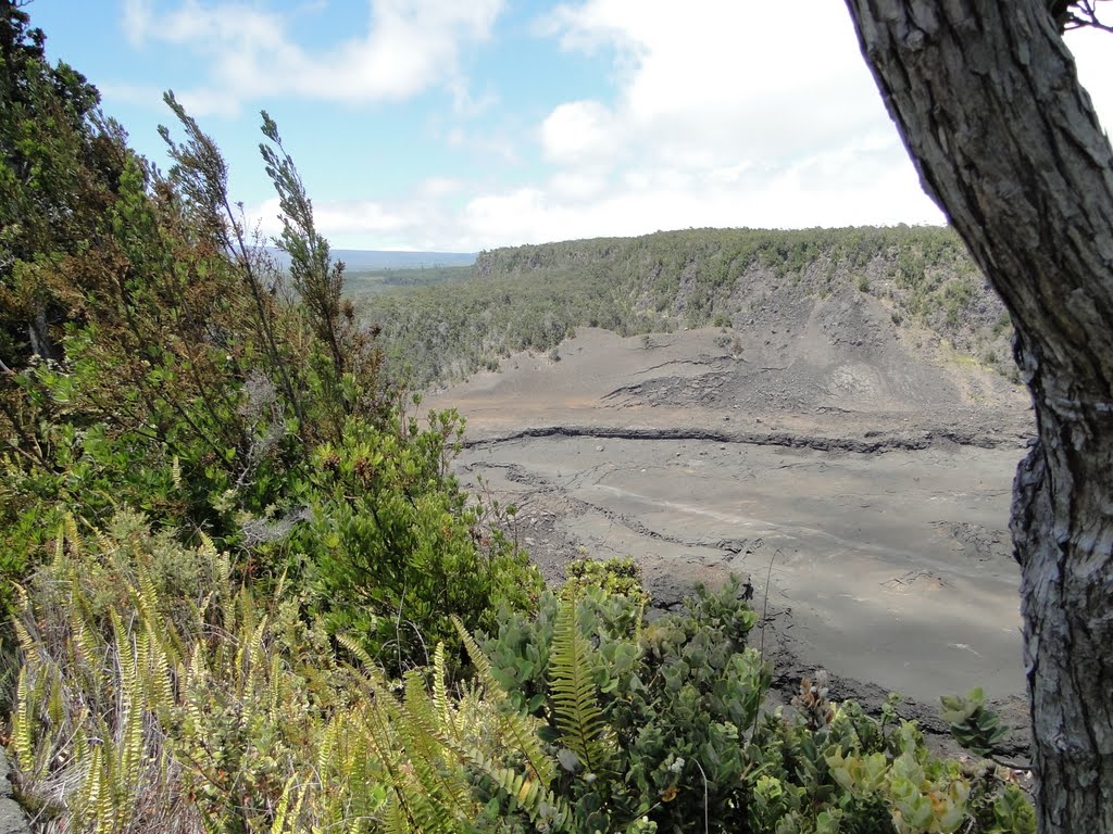 Hawaï National Volcano Park by Cappelle