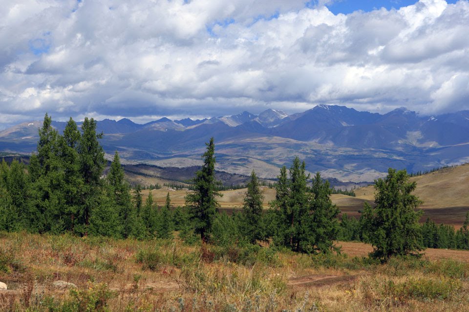 Горный Алтай. Курайская степь / Kurajsky steppe, The Altai Mountains by Richard Lozin