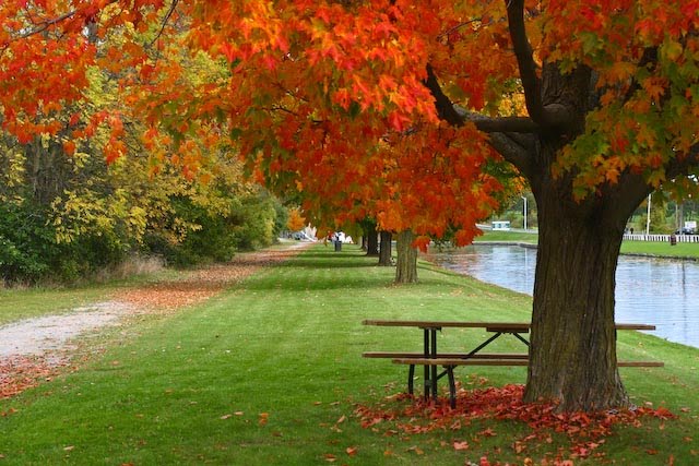 Autumn In Peterborough by Martin Halme