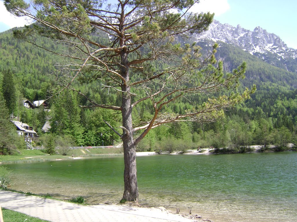 Kranjska Gora - jezero na reki Pišnici by Abdurrahman'S