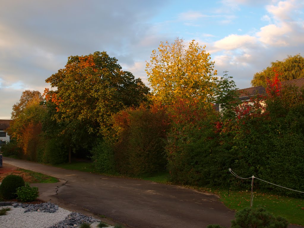 Farbenfroher Herbst by Mahoney1337