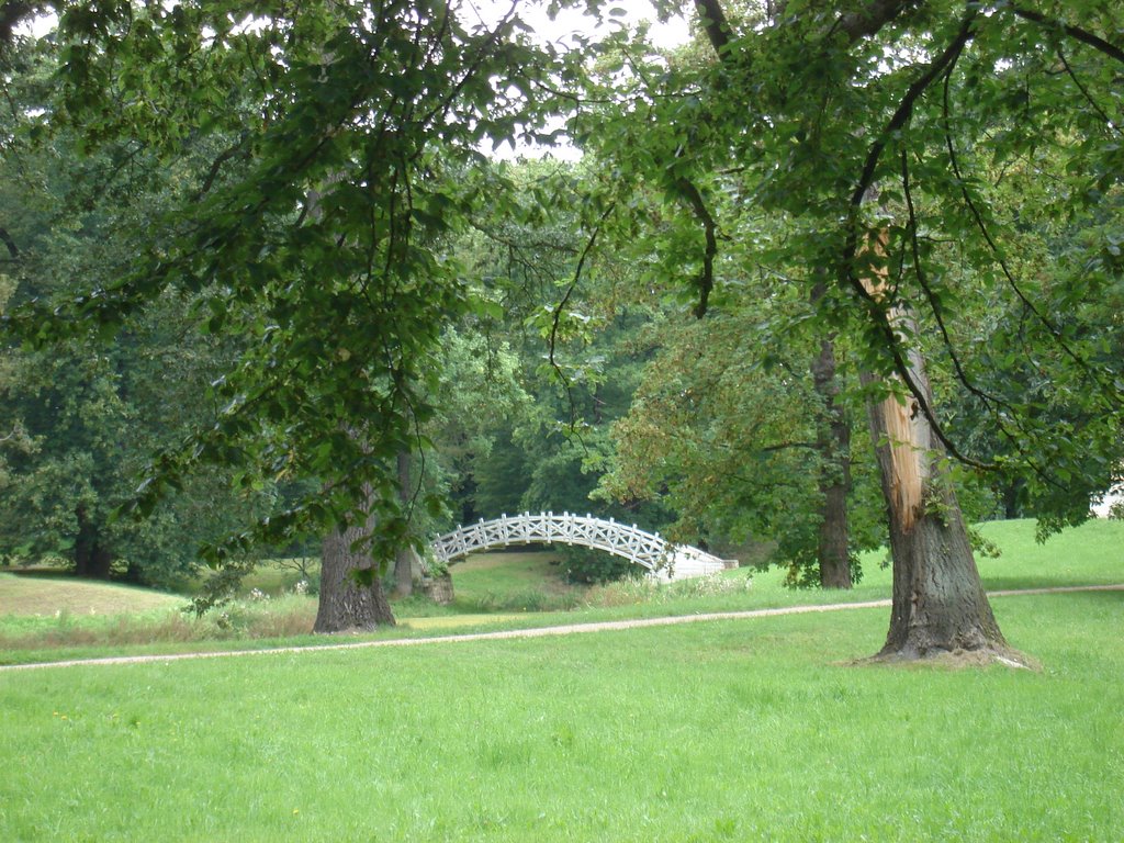 Bogenbrücke im Park Luisium von Dessau-Roßlau, Stadtteil Waldersee by Hannes Zeise