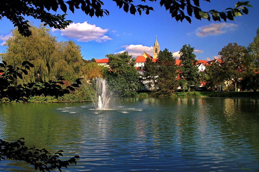 Stadtweiher - Pond of Pfullendorf by Strucki