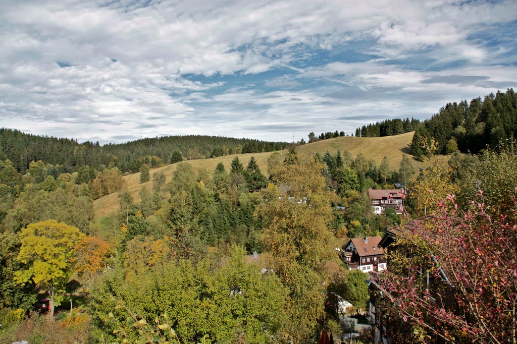 Altenau - Blick auf den Mühlenberg by Tobias Schramm