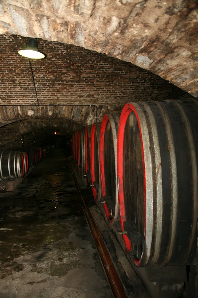 Winzergenossenschaft Mayschoß-Altenahr, Mayschoß, Rheinland-Pfalz, Deutschland by Hans Sterkendries