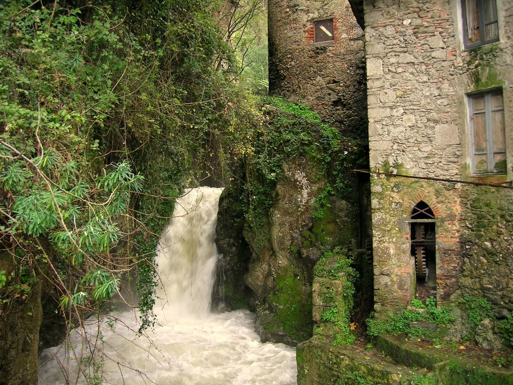 Candalla, Camaiore by smilingfoxy