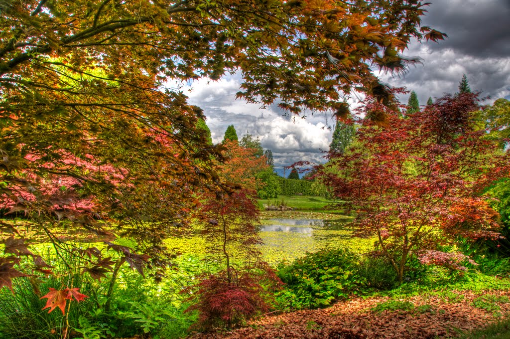 VanDusen Botanical Garden, Vancouver by kluke