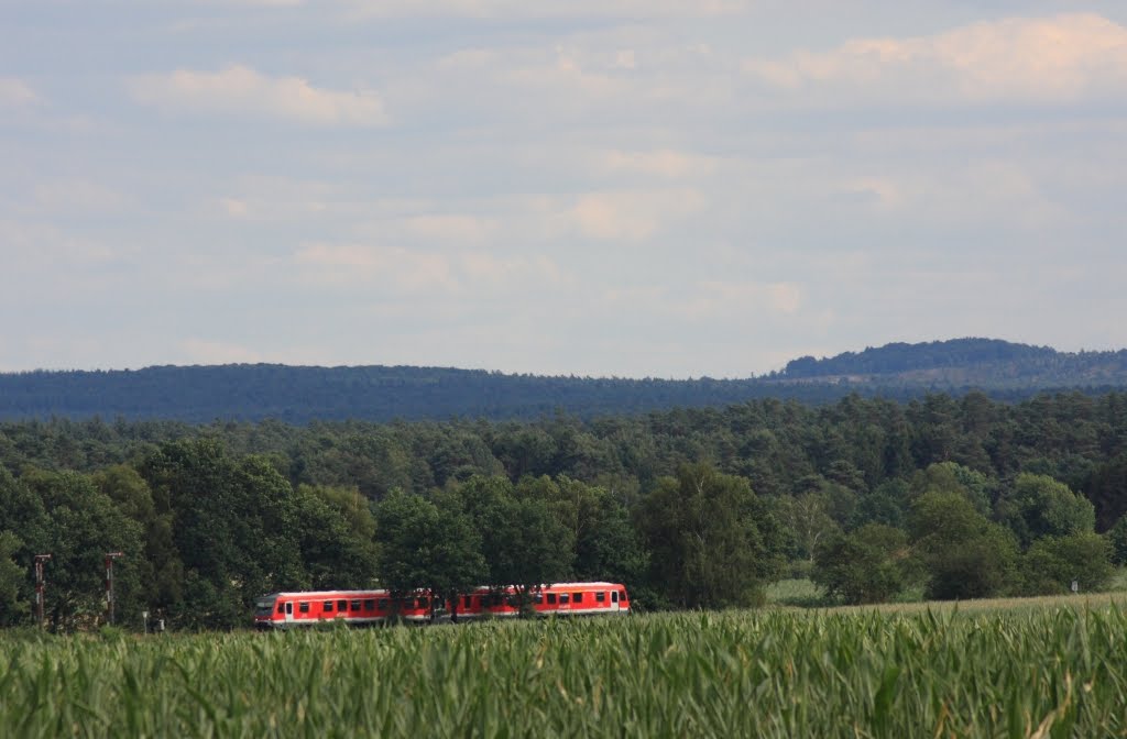 In Handeloh hat man den besten Blick auf die höchste Erhebung der Nordheide, den Wilseder Berg. Hier kreuzt eine Heidebahn die prächtige Kulisse. by Dierk Lawrenz