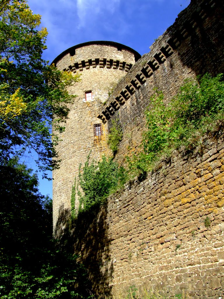 Le château de Lassay 02 by Nicolas Milot