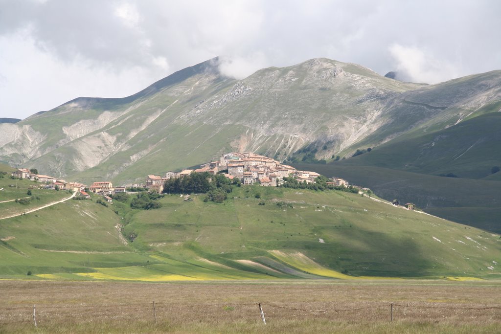 castelluccio in fiore (DC) by corinasdavide