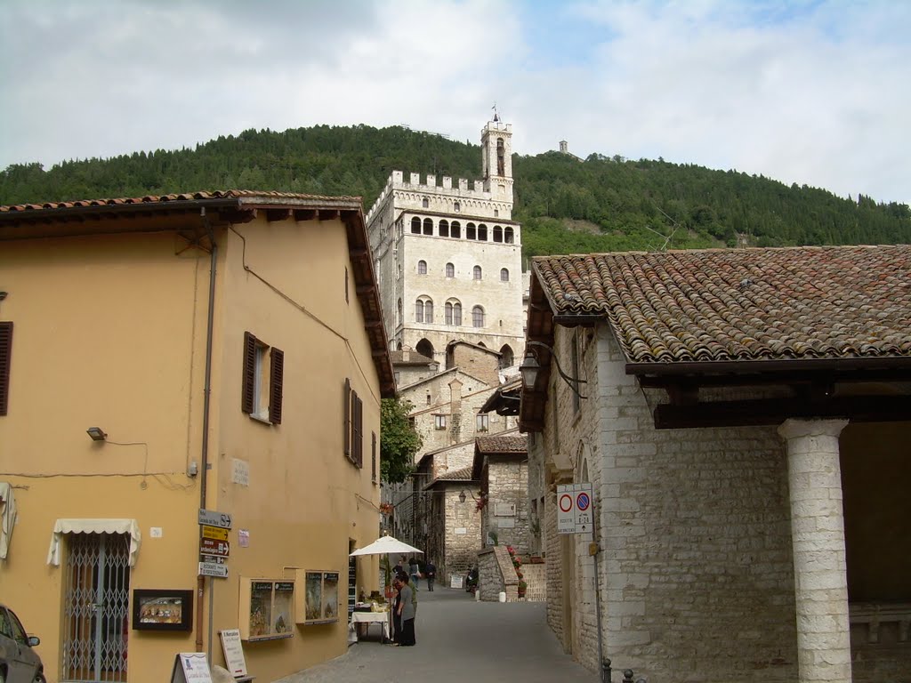 PALAZZO DEI CONSOLI DA VIA PICCARDI by CAVALLO PAZZO