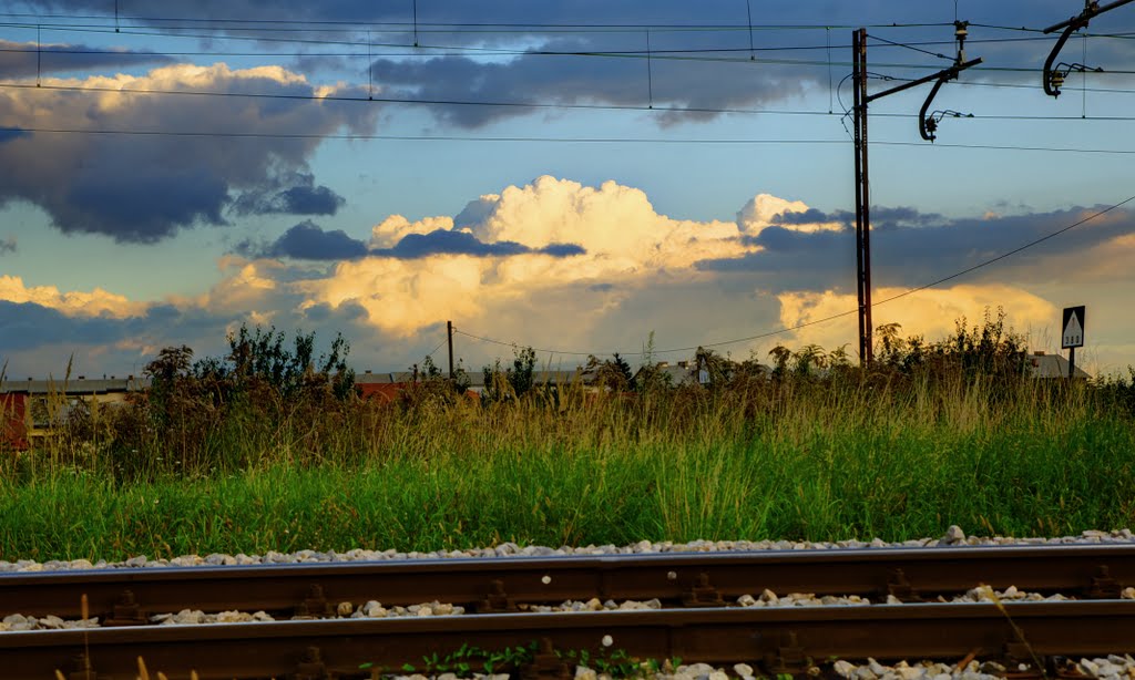 Some clouds and grass and tracks and the like by rlubej