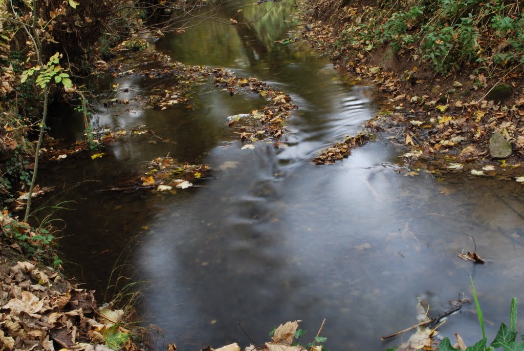 Autumn brook by Marbury