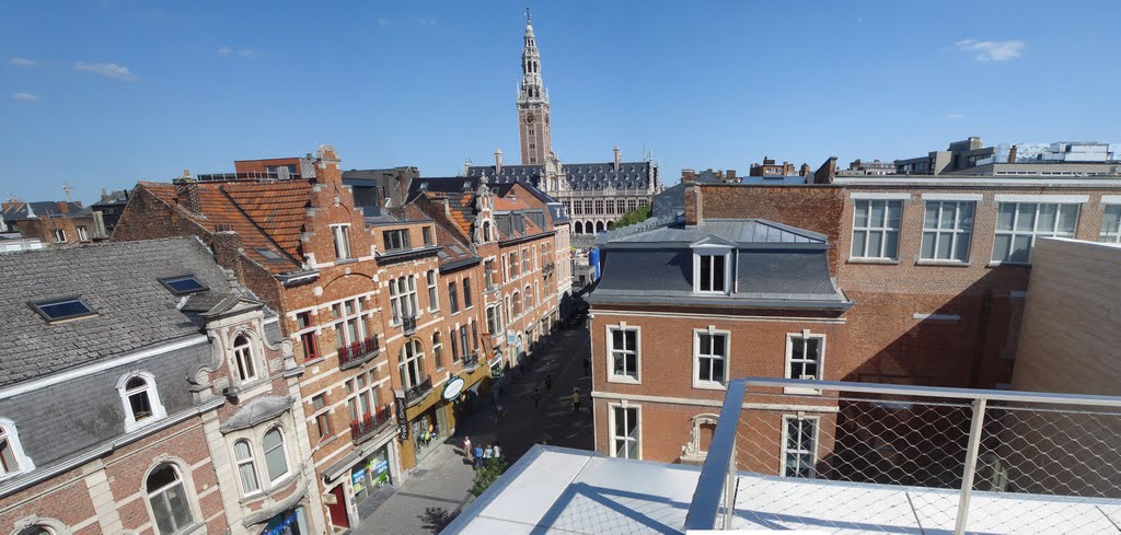 Leuven Leopold Vanderkelenstraat by Toon Geusens