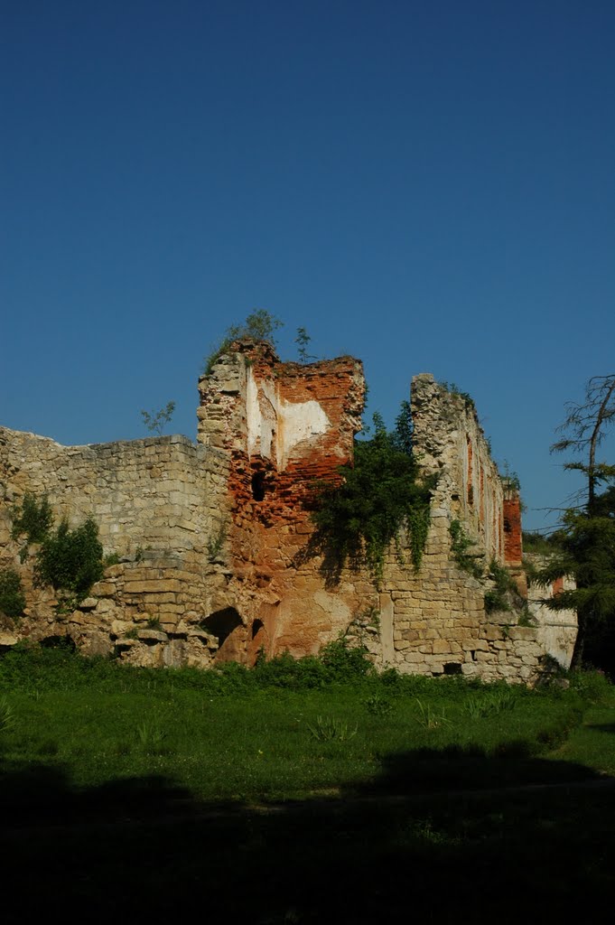 Развалины замка. The castle ruins. by Oleksandr “Sanja” By…