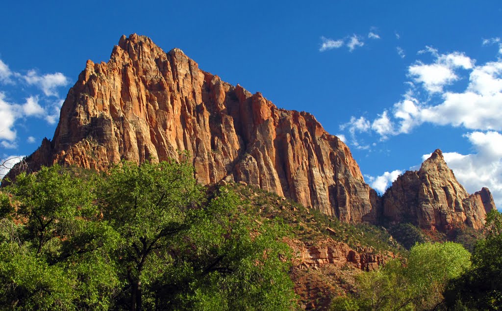 The Watchman - Zion National Park by Philip Scott Johnson