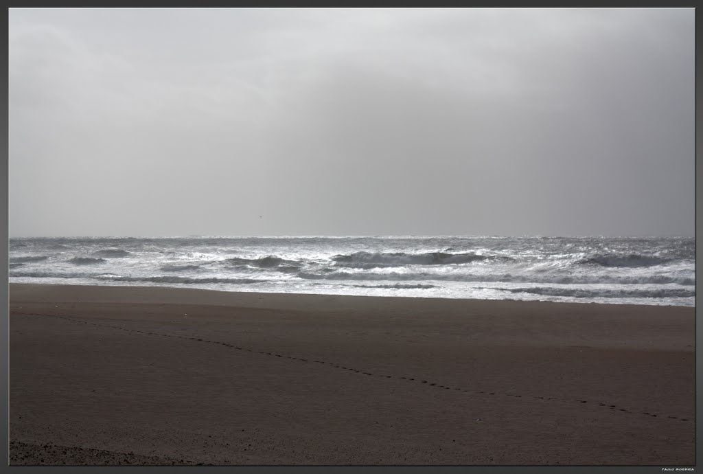 Praia da Torreira, Murtosa by Paulo Moreira