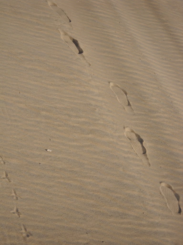 Footprints in the Sand by LINYSoxFan