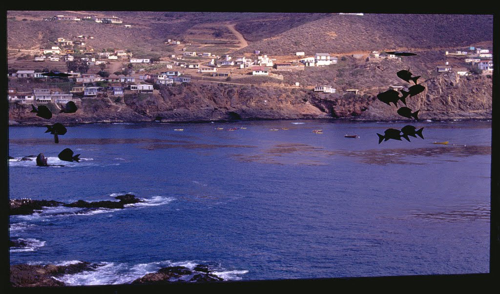 LA BUFADORA, ENSENADA. MEXICO. 1995 by Antonio Cristerna