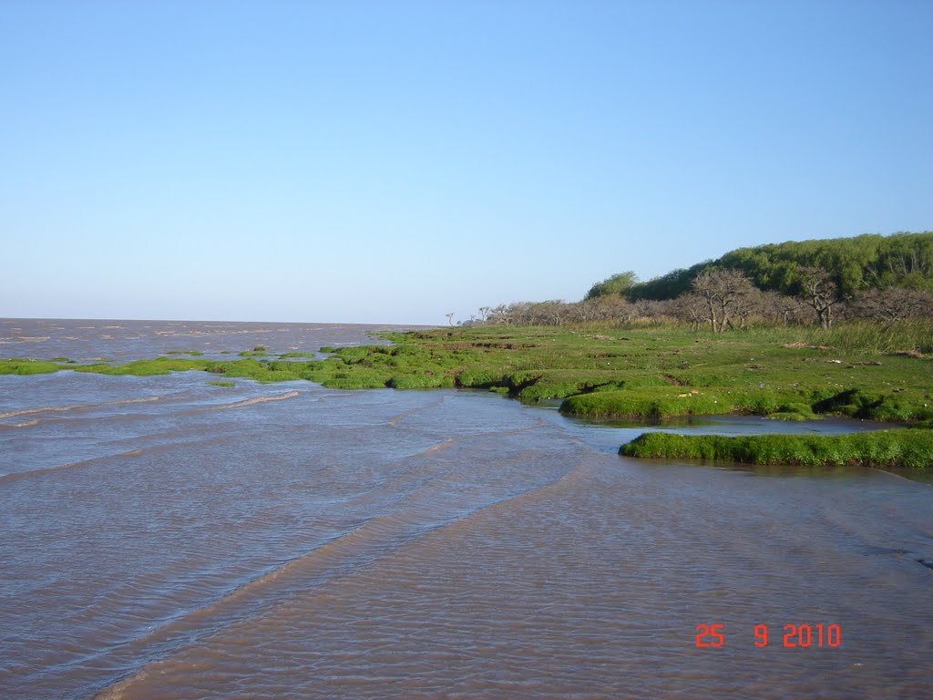 Costa Río de La Plata by Diego Gasparini