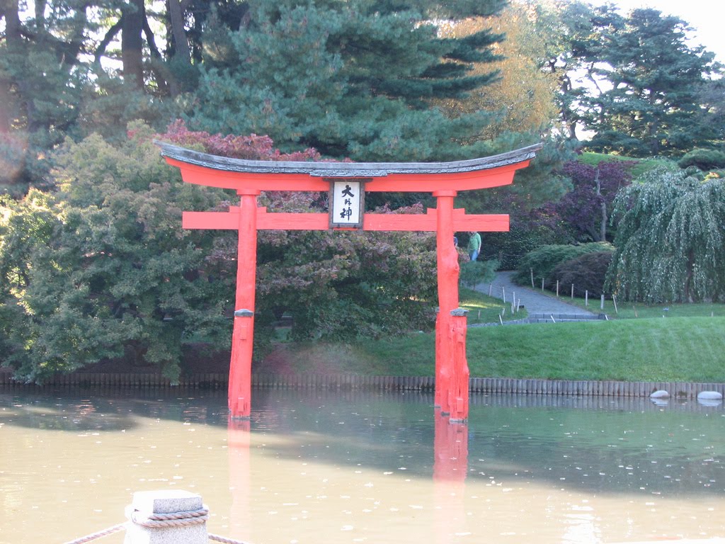 Brooklyn Botanic Gardens Koi Pond by cicadamania