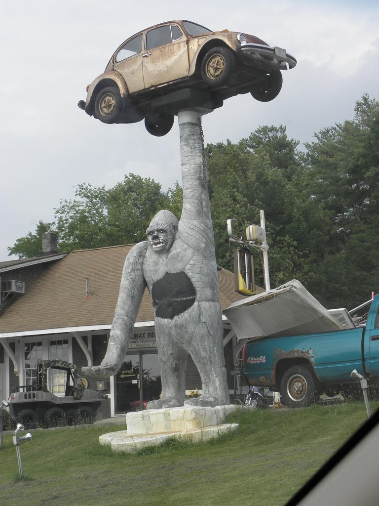 Gorilla holding a VW Bug in Leicester, VT by cicadamania