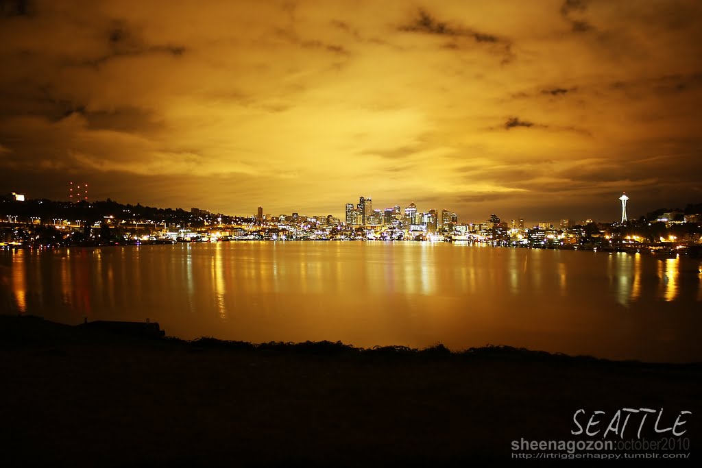 Seattle's Skyline by irtriggerhappy