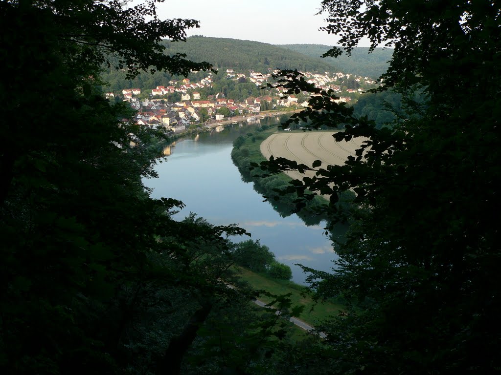 Blick von Burg Schwalbennest auf den Neckar by futomaki74