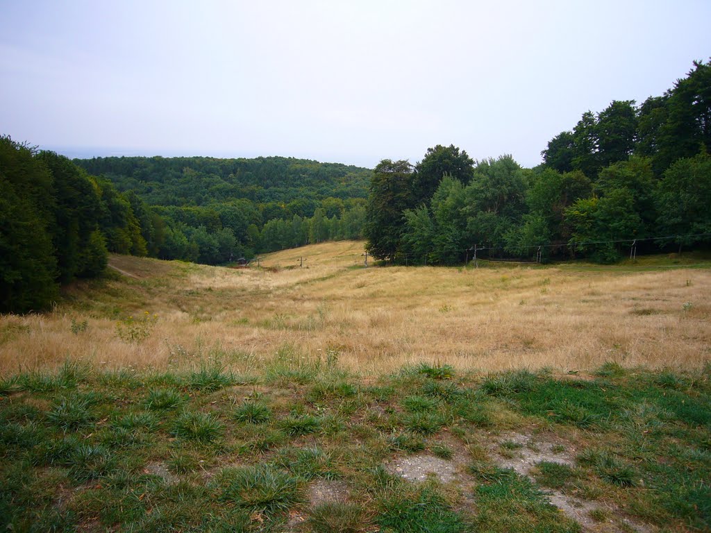 Nové Mesto, Slovakia by ptnik