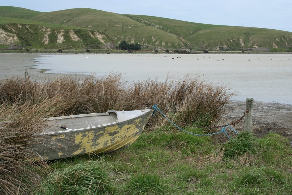 Lake Ellesmere shore by little river dan