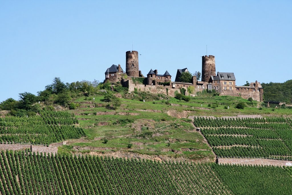 Burg Thurant by _deadman_