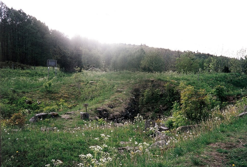 Ruin av Lena borg i Kungslena. Ruin of Lena fort in Kungslena (2002) by Biketommy