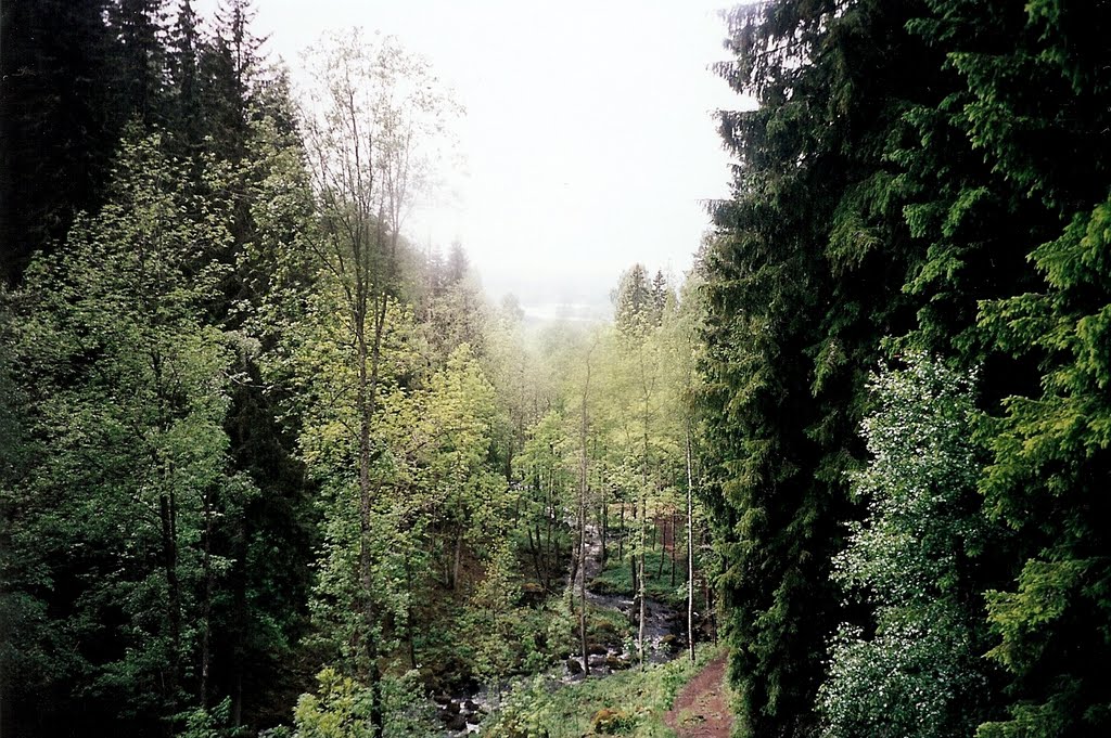 Ravinen Jättadalen öster om Öglunda 2002 by Biketommy